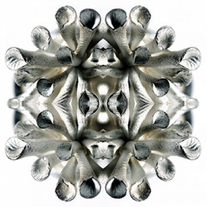 https://www.alainpierot.com:443/files/gimgs/th-13_bijoux 1web.jpg